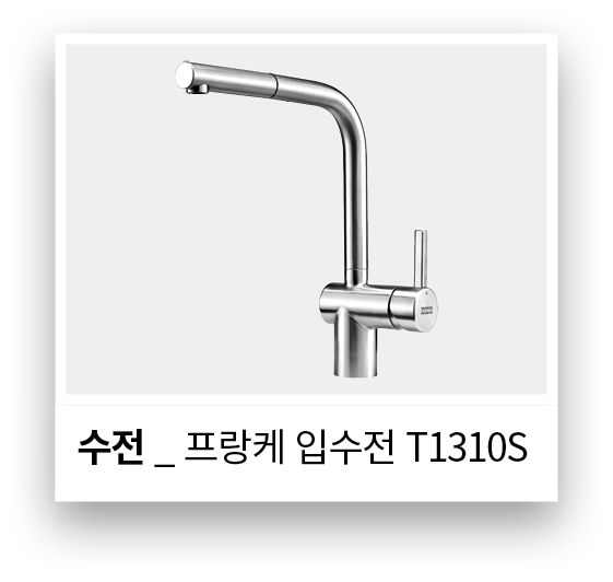 수전 _ 프랑케 입수전 T1310