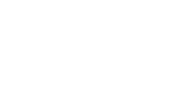        N-1303
