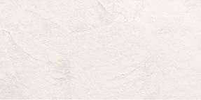 pann denver white 40x80 tif