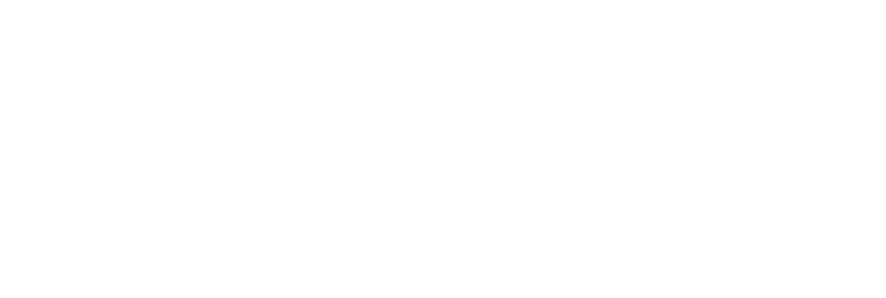 LX Z:IN Zenith9(     )                                     