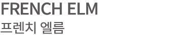 FRENCH ELM 프렌치 엘름
