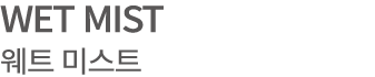WET MIST 웨트 미스트