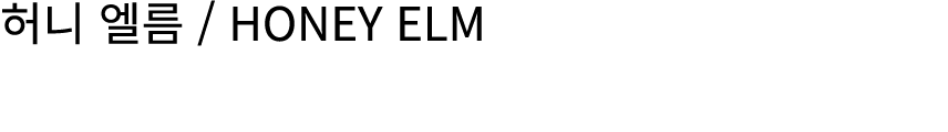 허니 엘름 / HONEY ELM
