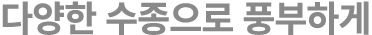 다양한 수종으로 풍부하게