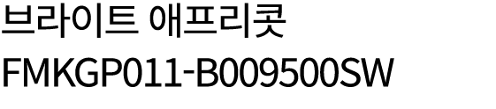 브라이트 애프리콧 FMKGP011 B009500SW