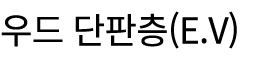 우드 단판층(E.V)