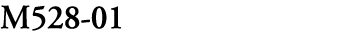M528 01