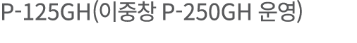 P-125GH(    P-250GH   )