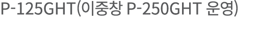 P-125GHT(    P-250GHT   )