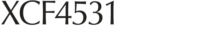 XCF4531
