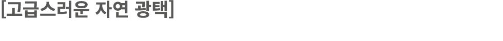 [고급스러운 자연 광택]