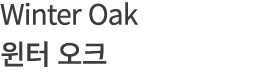 Winter Oak 윈터 오크