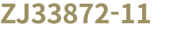 ZJ33872 11