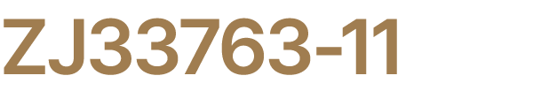 ZJ33763 11
