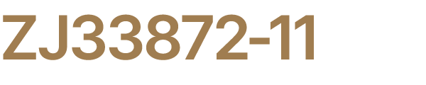 ZJ33872 11